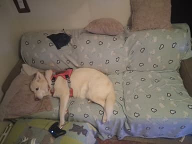 Profile Picture main user avatar