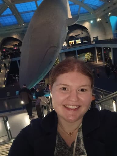 Profile Picture main user avatar