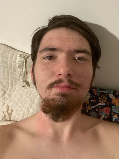 Profile Picture main user avatar