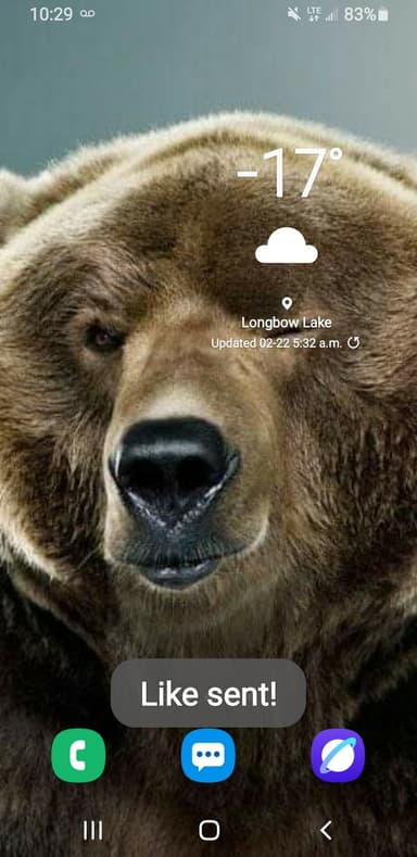 Profile Picture main user avatar