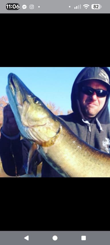 Profile Picture main user avatar