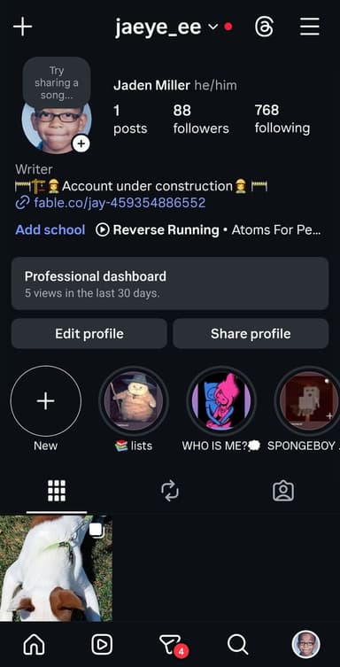 Profile Picture main user avatar