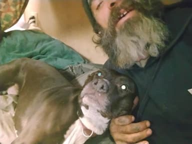 Profile Picture main user avatar