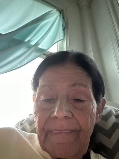 Profile Picture main user avatar