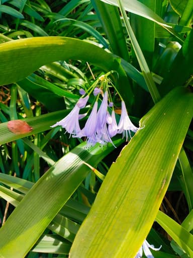 Profile Picture main user avatar