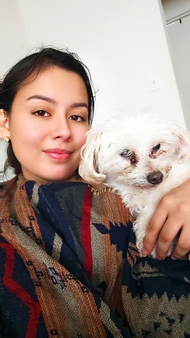 Profile Picture main user avatar