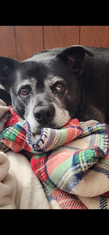 Profile Picture main user avatar