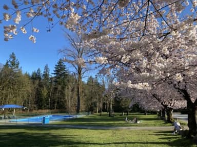 Place Preview main user avatar