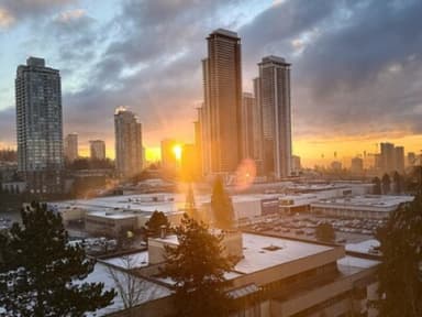 Place Preview main user avatar