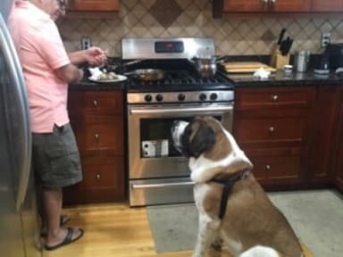 Place Preview main user avatar