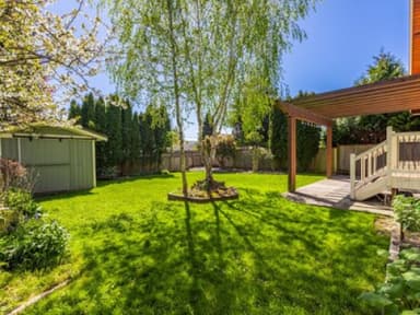 Place Preview main user avatar