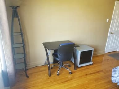 Place Preview main user avatar