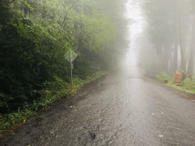 Place Preview main user avatar