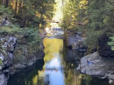 Place Preview main user avatar