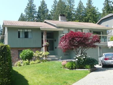 Place Preview main user avatar