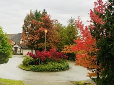 Place Preview main user avatar