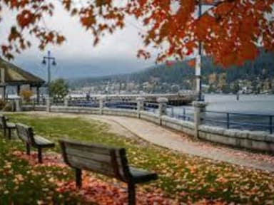 Place Preview main user avatar