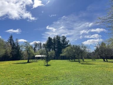 Place Preview main user avatar