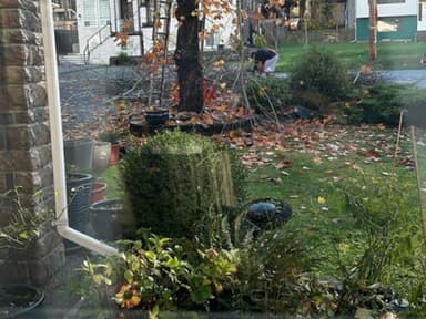 Place Preview main user avatar