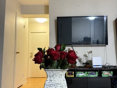 Place Preview main user avatar