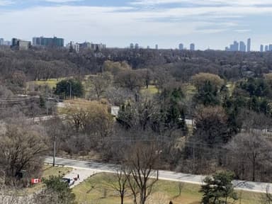 Place Preview main user avatar