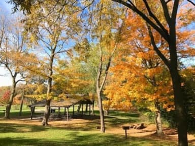 Place Preview main user avatar