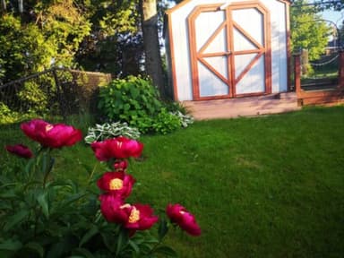 Place Preview main user avatar