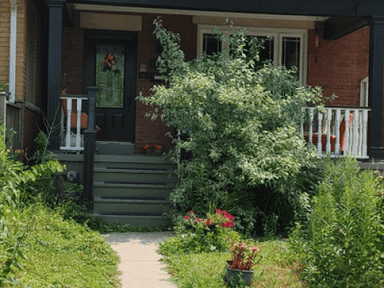 Place Preview main user avatar