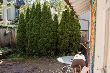 Place Preview main user avatar