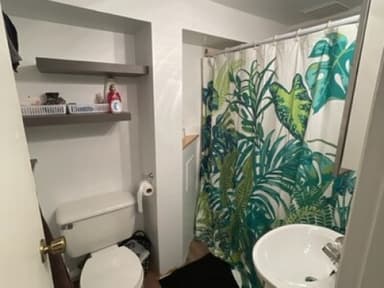 Place Preview main user avatar