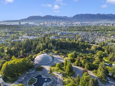 Place Preview main user avatar