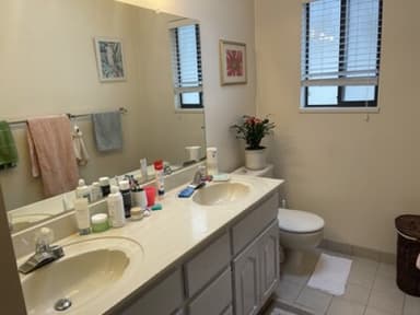 Place Preview main user avatar