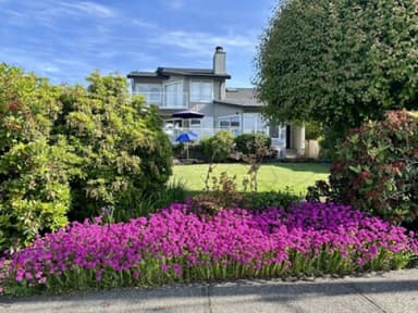 Place Preview main user avatar