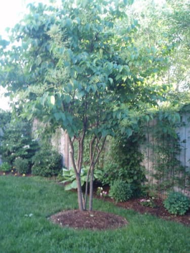 Place Preview main user avatar