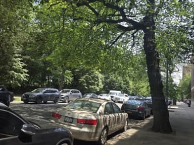 Place Preview main user avatar