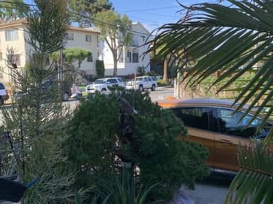 Place Preview main user avatar