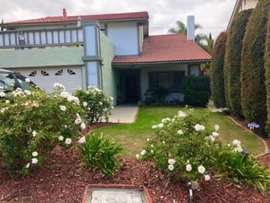 Place Preview main user avatar