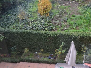 Place Preview main user avatar