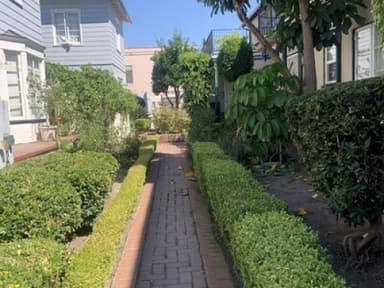 Place Preview main user avatar