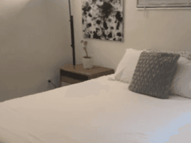 Place Preview main user avatar