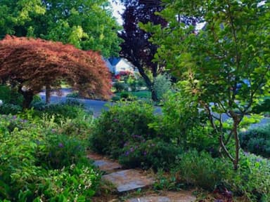 Place Preview main user avatar