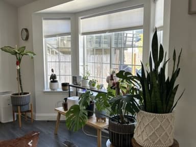 Place Preview main user avatar