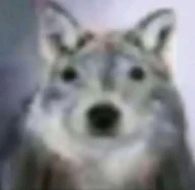 Profile Picture main user avatar