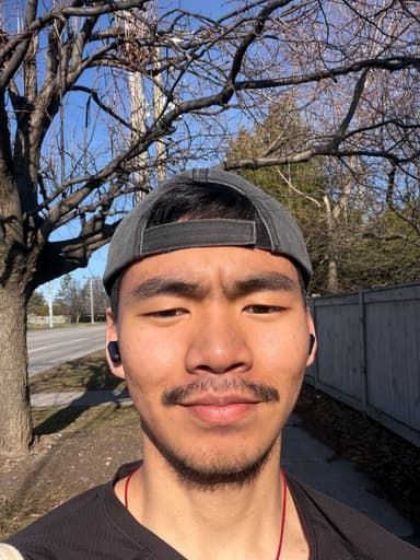 Profile Picture main user avatar