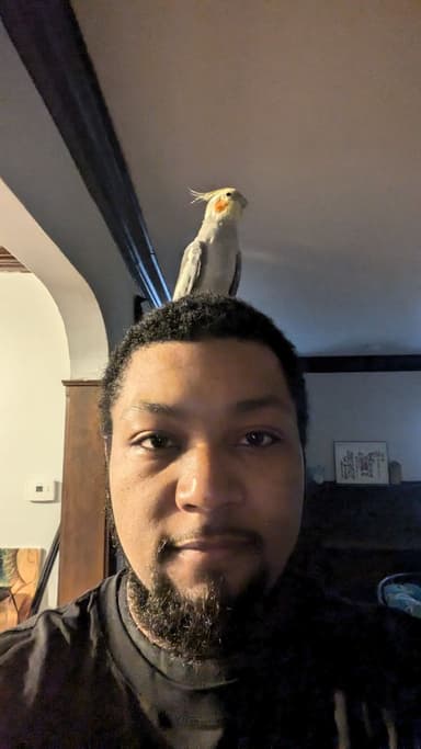 Profile Picture main user avatar