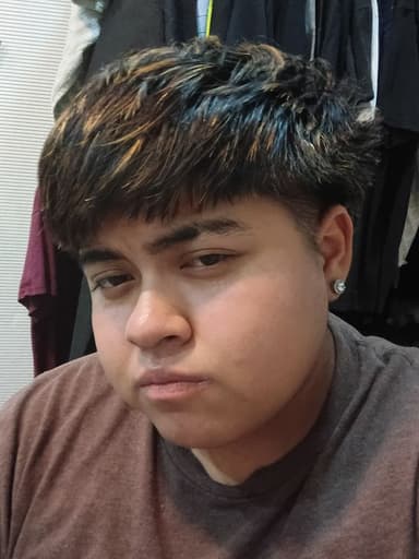 Profile Picture main user avatar